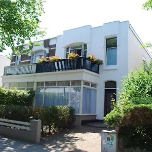 https://studio-picco-bello.zandvoort-hotels.com